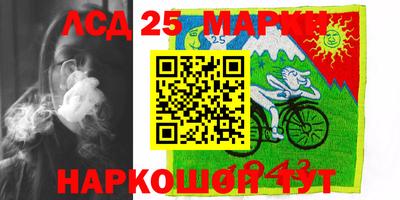 спиды Новозыбков