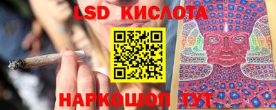 спиды Новозыбков