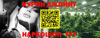 спиды Новозыбков