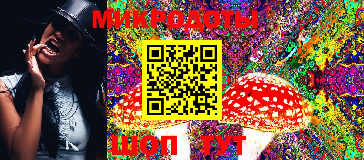 Псилоцибиновые грибы Psilocybe  Галлюциногенные грибы мицелий  Таганрог  Вход с VPN 